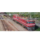 鉄道模型通販　製品画像【ご予約】3086-1 (N)EH800(JRFマークなし)