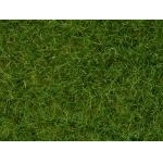 鉄道模型通販　製品画像グラスマスター用草 野草 草丈6mm 100g